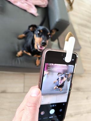 Pet Selfie Clip - Pince à seflie pour chien chat 