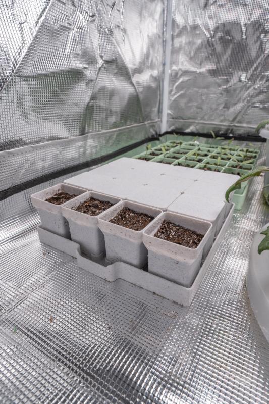 Seed starting system - 4x4 pots with lid