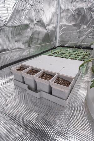 Seed starting system - 4x4 pots with lid