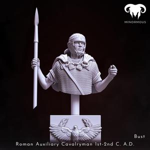 Bust - Roman Auxiliary Cavalryman 1st-2nd C. A.D. Auxilia Equestrians!