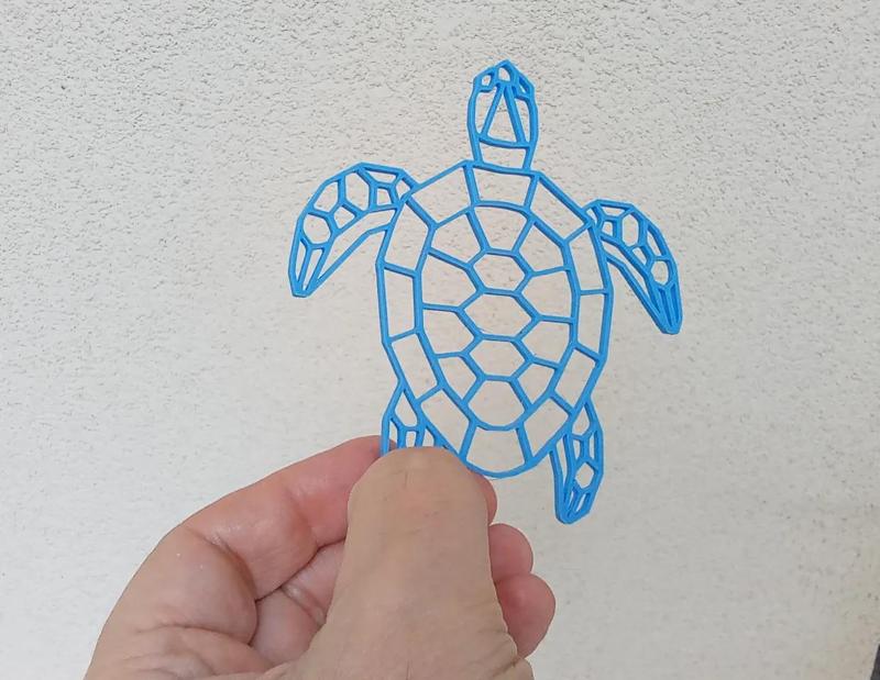 Geometric Turtle   
