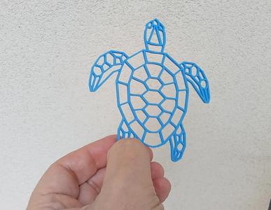 Geometric Turtle   