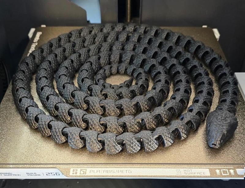 Extra-long Snake with Scales