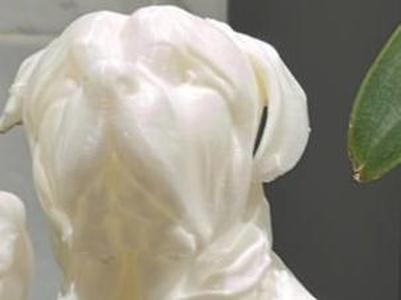 Decorative Rottweiler Statuette