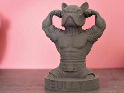 French Bulldog – Bully Bodybuilder 