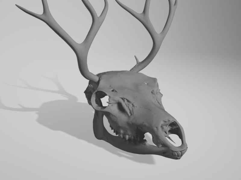 elk helmet movable jaw