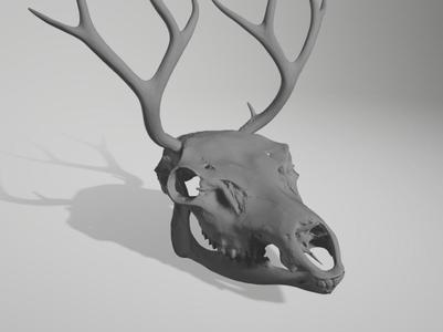 elk helmet movable jaw