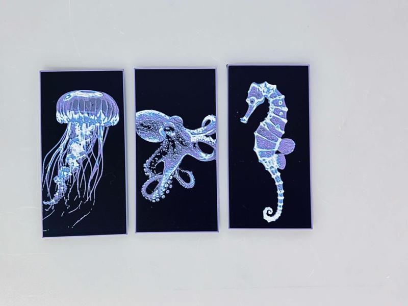 Under the Sea - Bookmark Set