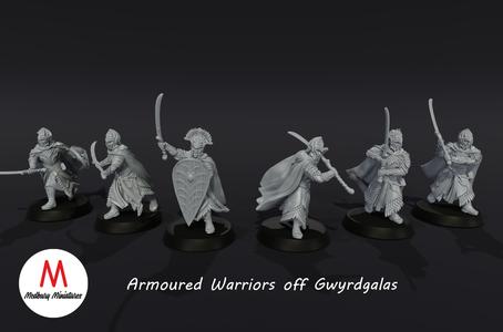 Armoured Warriors Of Gwyrdgalas