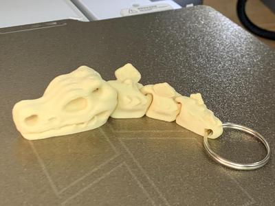 skull dinosaur