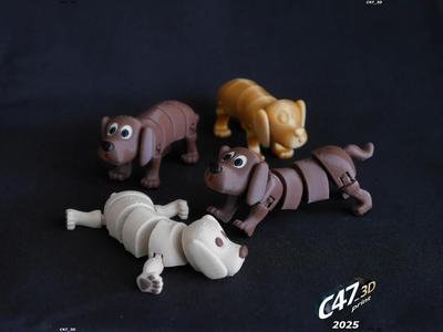 Flexi Transforming Dog   