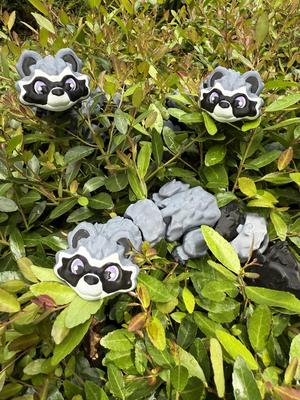 Bandit the Raccoon V1