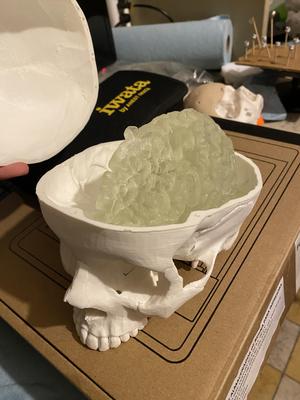 skull_with brain.stl