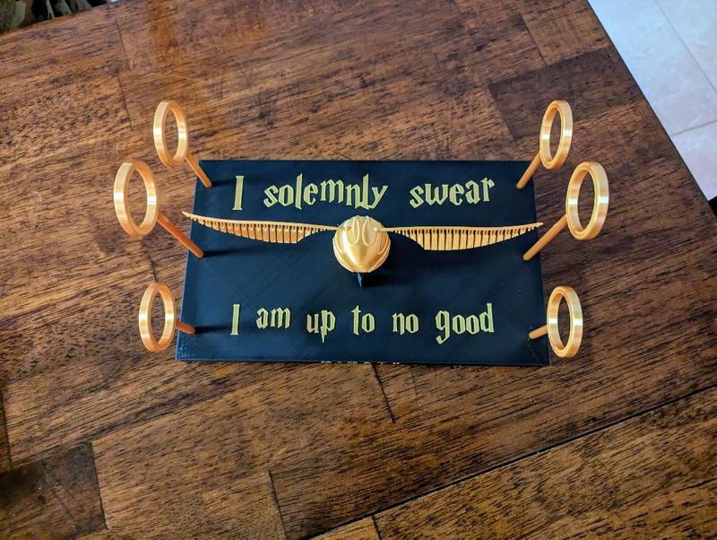 Quidditch Wand Holder and Golden Snitch Display