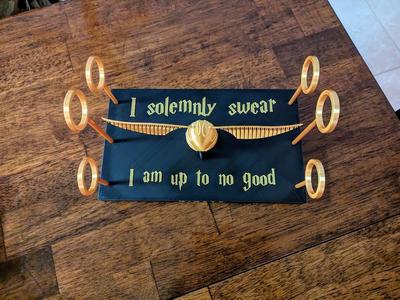 Quidditch Wand Holder and Golden Snitch Display
