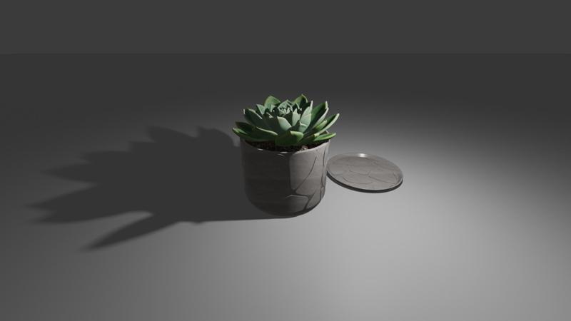 Small Plant Pot