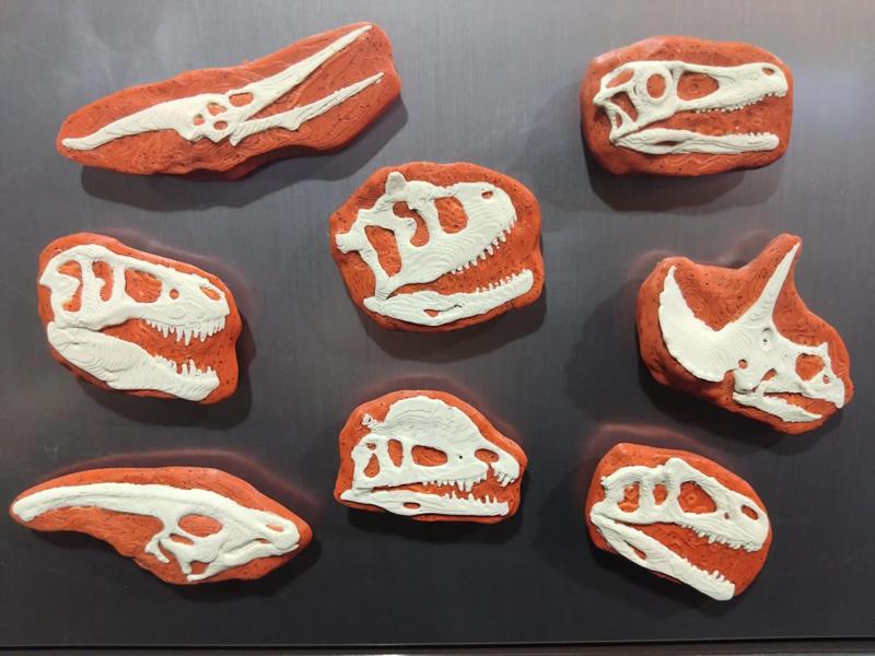 Dinosaur Fossil Skull Magnets