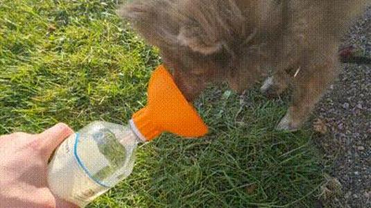 Dog Bowl - Portable PET-bottle Adapter