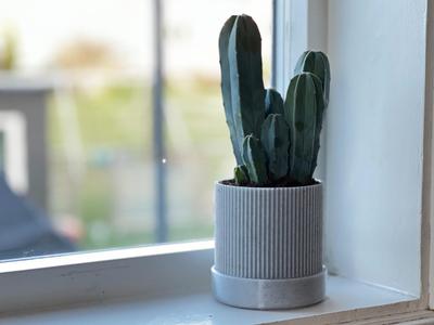 Mid-century modern Planter with drainage and tray