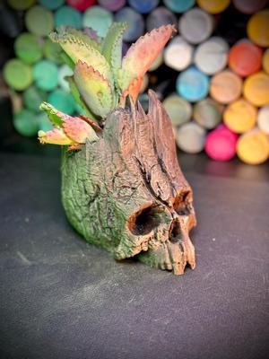 The skull of life