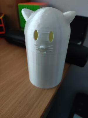Cat Container