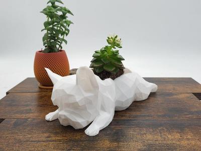 FRENCH BULDOG PLANTER LOW POLY
