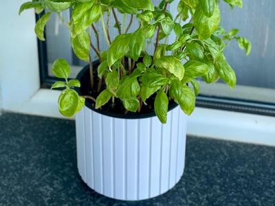 Modern Self Watering Planter