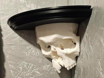 Skull Shelves