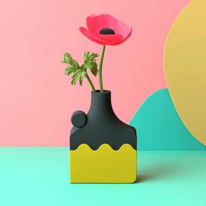 Color Splash Vase - Modern Vase with Bold Color Contrast