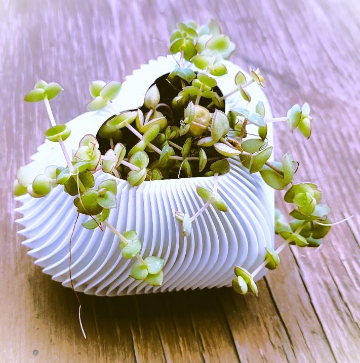 VASE OF THE HEART