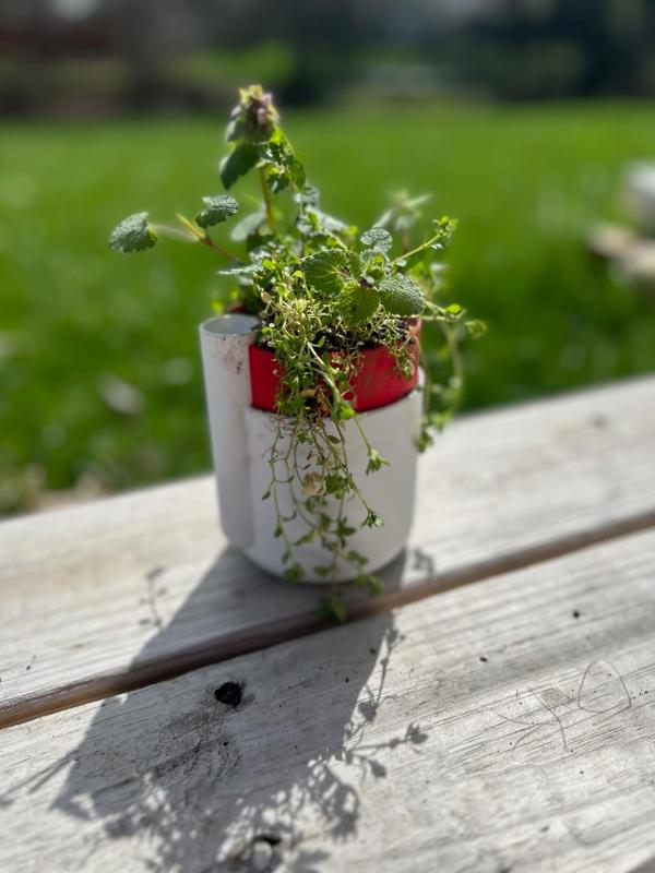 Hands Free Self-Watering Plant Pot 