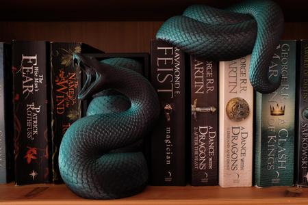 Snake Head & Tail Book Nook