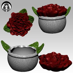Rose Bowl Container