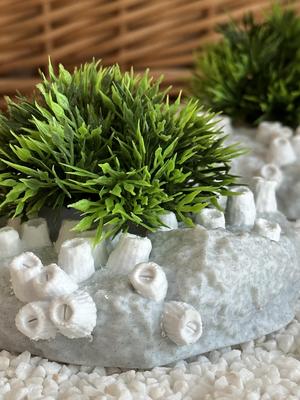 Mini Barnacle Bowls (Dual Extruder)