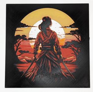 Female Samurai at Sunset - HueForge