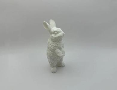 Standing Rabbit   