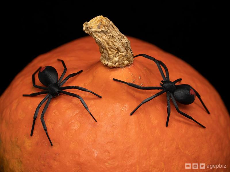 Black Widow TPU Spider