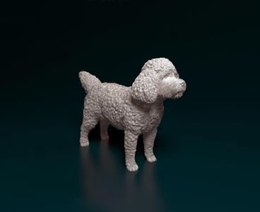 CockerPoo poodle figurine
