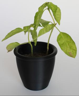 Plant Pot/Planter With Drain Holes