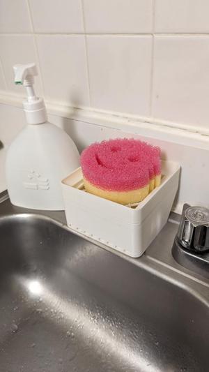 Scrubber stand