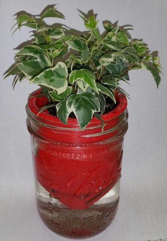 Mason Jar Self-Watering Planter
