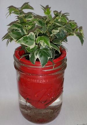 Mason Jar Self-Watering Planter