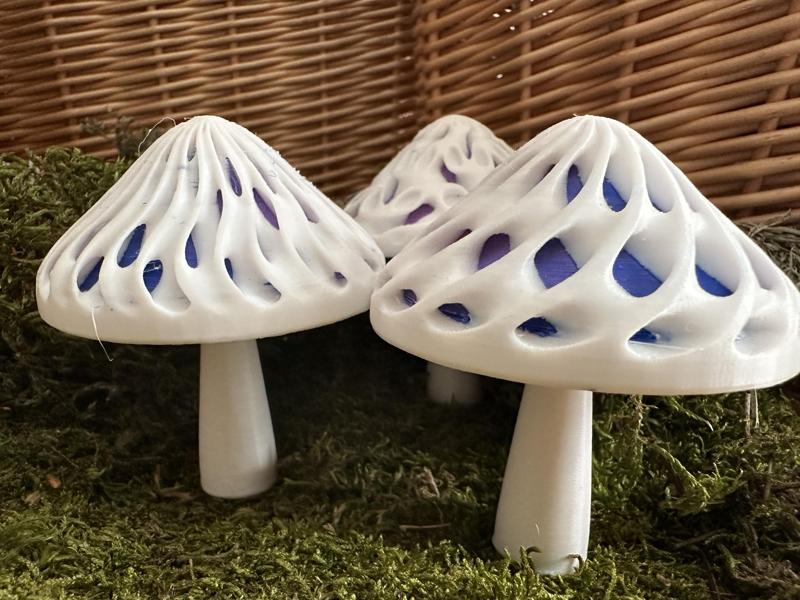 Dual Colour Modular Mushroom Caps (Surfaces)
