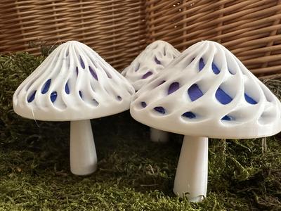 Dual Colour Modular Mushroom Caps (Surfaces)