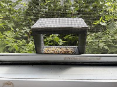 Window Bird Feeder