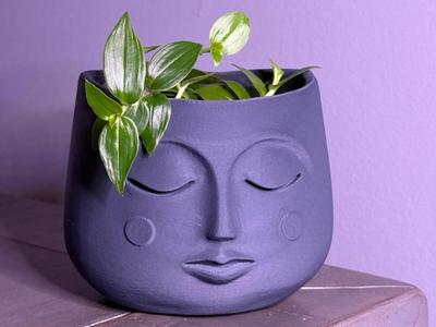 Peaceful Face Planter