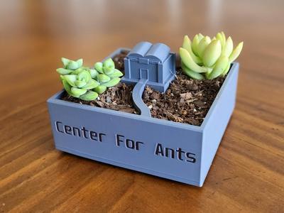 Center for Ants Succulent Planter