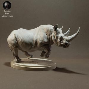 Black Rhino Charging