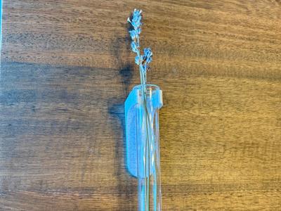 Test tube propagation/wedding decor wall mount