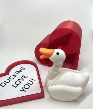 FLEXI DUCK WITH HEART GIFT BOX - PRINT IN PLACE